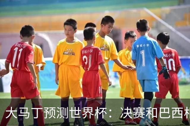 大马丁预测世界杯：决赛和巴西相遇 阿根廷将通过点球大战卫冕